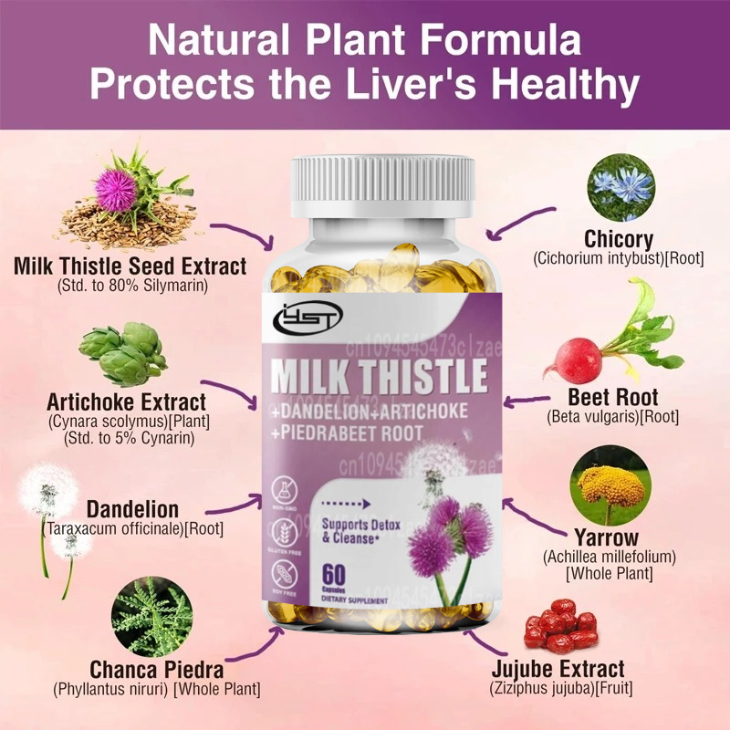 Onarım İçin Karahindiba Kökü,  - Milk Thistle Silymarin incelemesi ve fiyatı